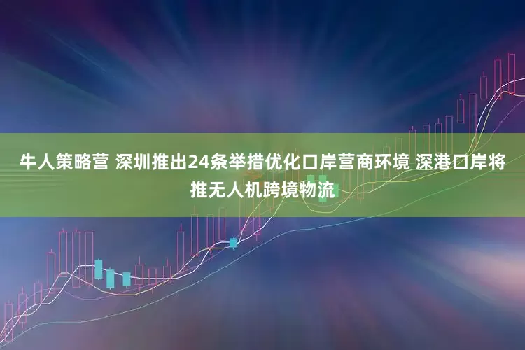 牛人策略营 深圳推出24条举措优化口岸营商环境 深港口岸将推无人机跨境物流