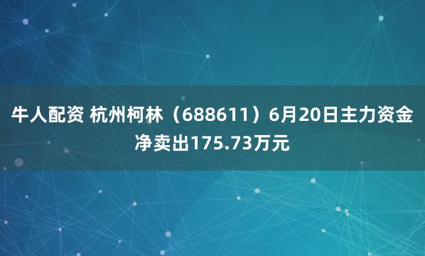 牛人配资 杭州柯林（688611）6月20日主力资金净卖出175.73万元